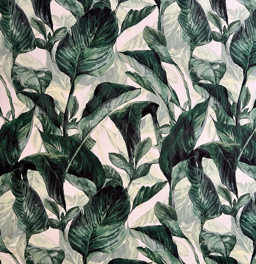 Nature 504