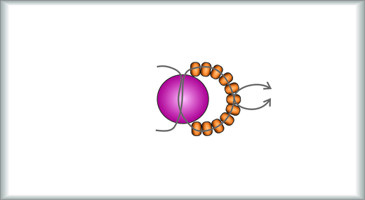 Náramek - 6