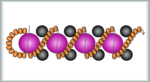 Náramek - 7