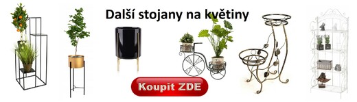 Další stojany.jpg
