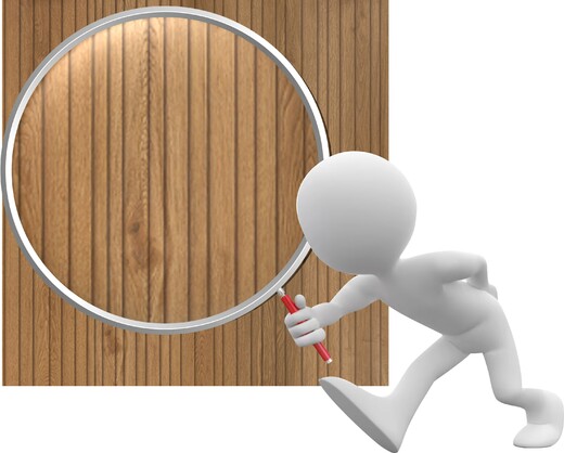 Detail Panel SPC Dub Asturia lamely.jpg