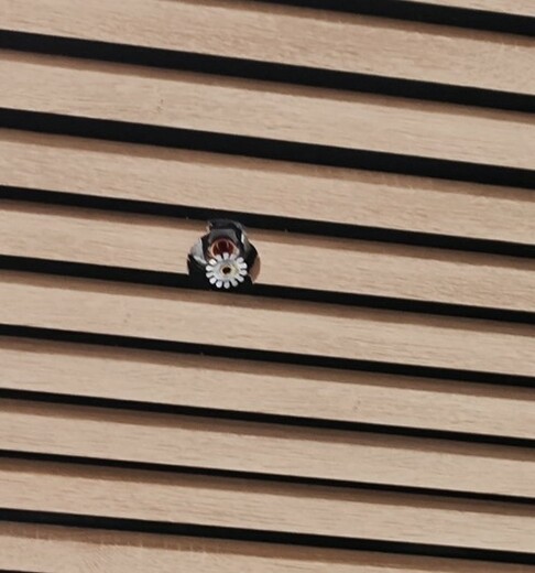 Detail požárního sprinkleru.jpg