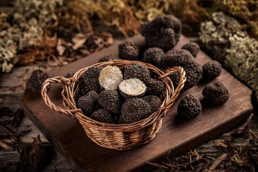 Expensive-black-truffles-gourmet-mushrooms-in-wicker-basket.jpeg