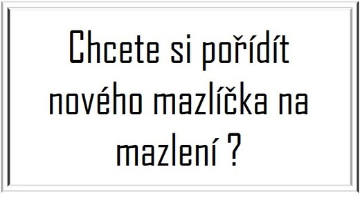 mazel.jpg
