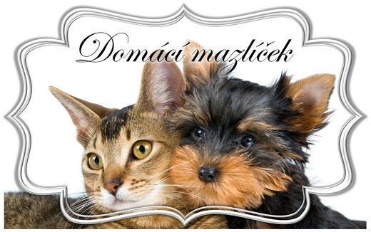 Plánujete si pořídit domácího mazlíčka.png.jpg